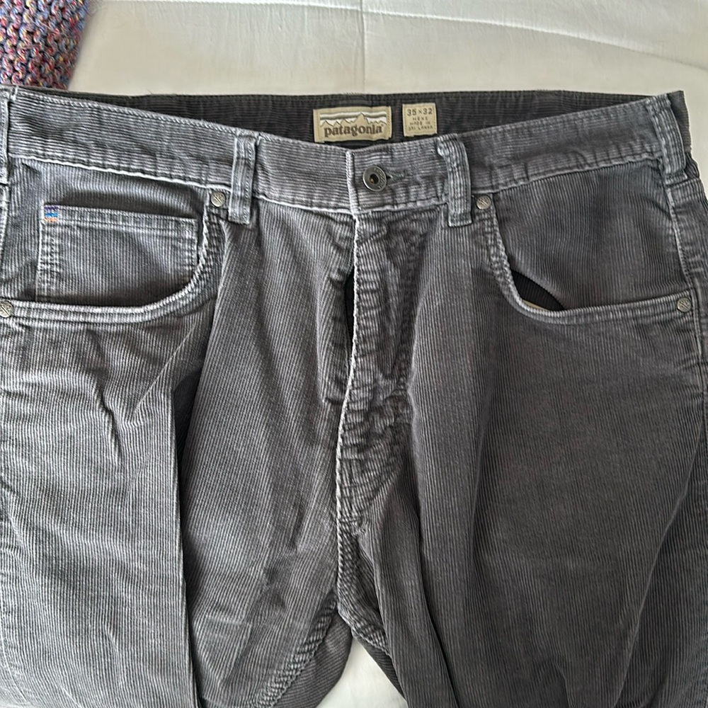 Patagonia Men’s corduroy pants